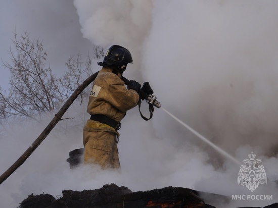 Кузбасские пожарные ликвидировали 70 возгораний за минувшую неделю