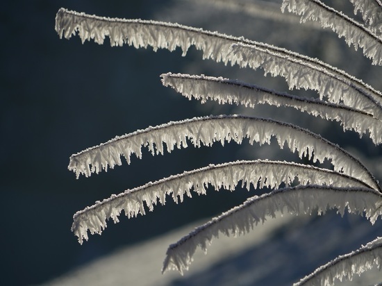 До -2 градусов ожидается в Ленобласти 23 января