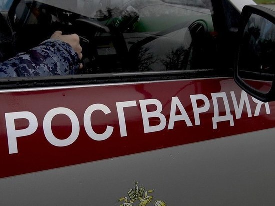 В Пензе росгвардейцы задержали мужчину, пытавшегося украсть алкоголь из магазина