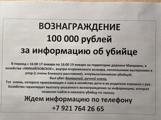 В Тверской области разыскивают убийцу домашнего оленя: объявлено вознаграждение за информацию