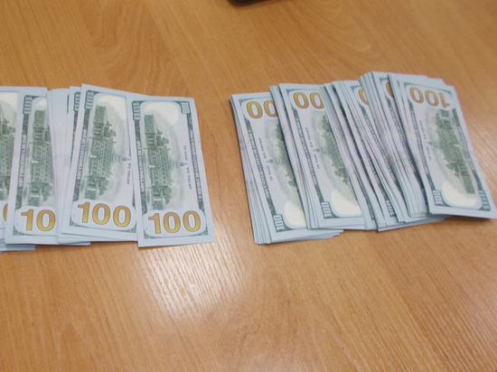 Собака Баяра учуяла незаконную валюту в новосибирском Толмачево