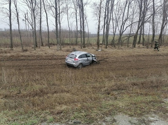 В Белгородской области пожилой водитель не справился с управлением и врезался в дерево