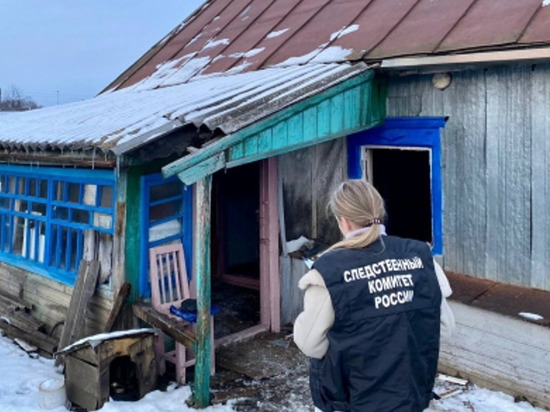 Под Саратовом на пожаре погиб 66-летний мужчина