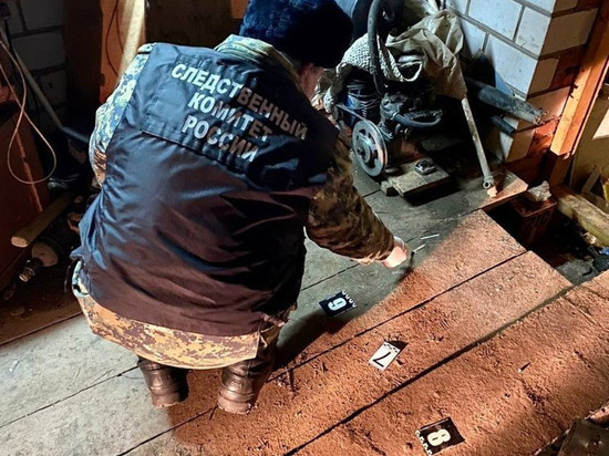 В Малопургинском районе задержали мужчину, убившего сожительницу и спрятавшего тело в сугроб