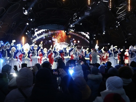 Мэрия Новосибирска запустила опрос о прошедших новогодних мероприятиях