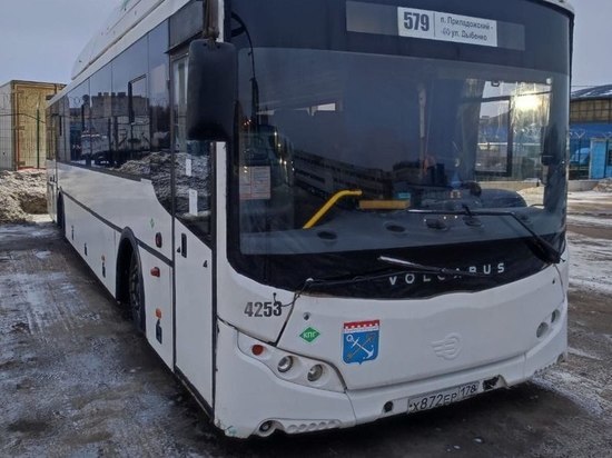 Жителей Приладожского до «Дыбенко» по утрам будут возить автобусы большей вместимости