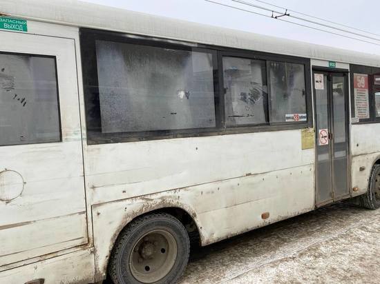 Стоимость проезда на нерегулируемых маршрутах в Барнауле подняли до 30 рублей