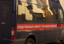 В Хабаровском крае 35-летнего мужчину и 27-летнюю женщину обвинили в убийстве человека из-за двух килограммов рыбы
