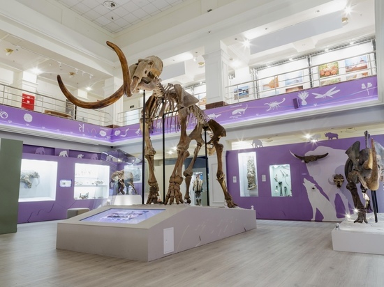 В главном музее Ямала установят тактильную копию мамонтенка Любы