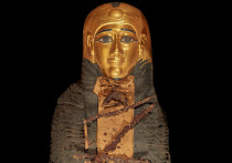 Цифровое сканирование помогло ученым раскрыть секреты мумии, насчитывающей 2300 лет