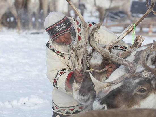 Первую в истории игру на родных языках получат коренные народы Красноярского края