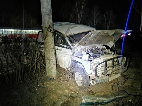 В Орле «УАЗ» насмерть сбил пешехода
