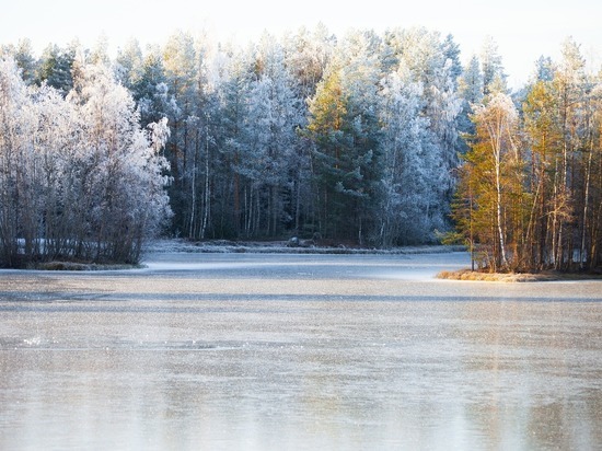 В Белгородской области очевидцы помогли провалившейся под лед девушке