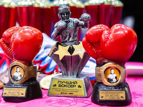 В Новодвинске назвали имена сильнейших боксеров региона