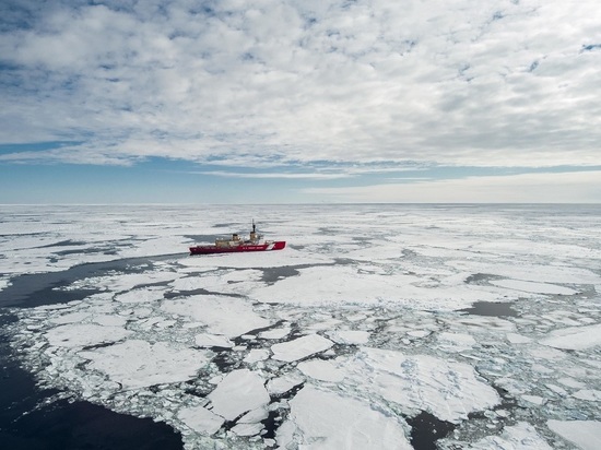 Гляциологи: в Антарктиде откололся айсберг размером с Лондон