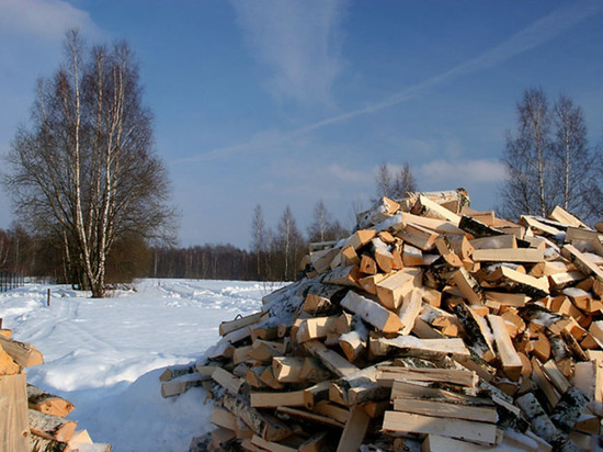 Семьи участников СВО из Чувашии обеспечивают дровами