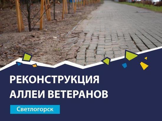 Аллею ветеранов в Светлогорске временно закрыли на реконструкцию