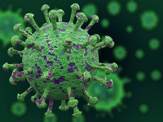 Коронавирусом в Ленобласти заразились 37 человек за последние сутки
