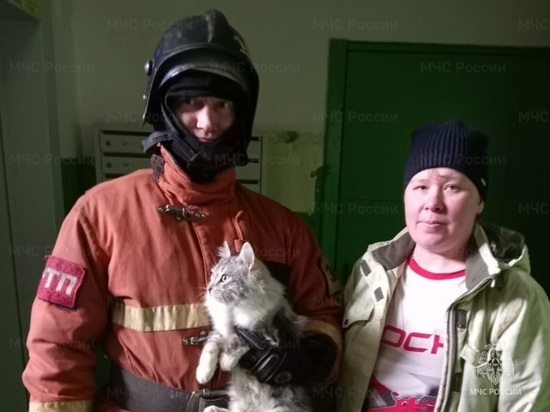 Орловские спасатели выручили из беды ручного кота