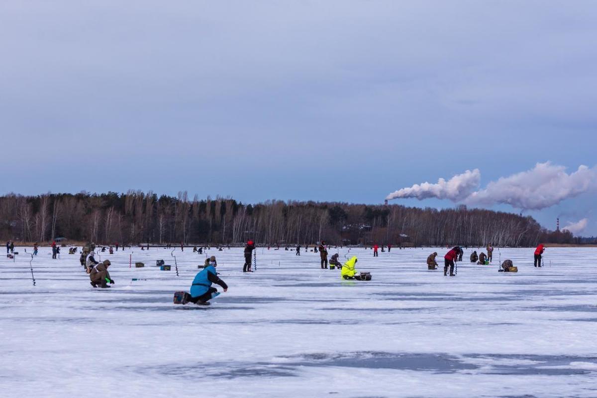 Lipetsk anglers competed for medals in the regional championship in mormyshka fishing