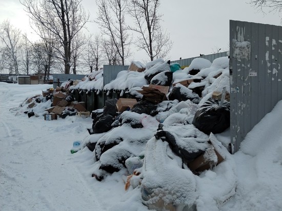 Жители Новосибирска пожаловались на невывезенный с нового года мусор