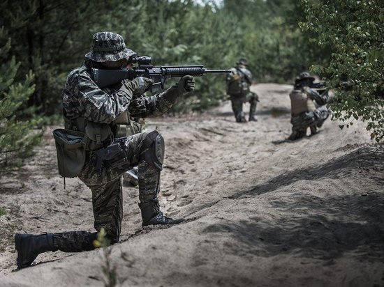 Рогов: планы ВСУ осуществить широкое наступление в Запорожской области сорваны