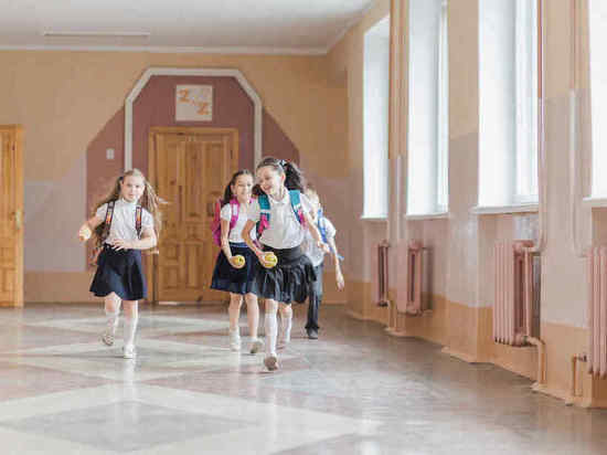 "Оснований для паники нет": несколько школ Томска 25 января получили сообщения о минировании
