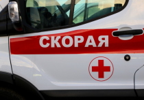 В Башкирии пенсионерка угодила в больницу с кровоизлиянием в мозг после встречи с пони