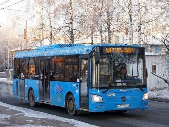 Перевозчик изменил расписание автобусов из Архангельска до Малых Корел