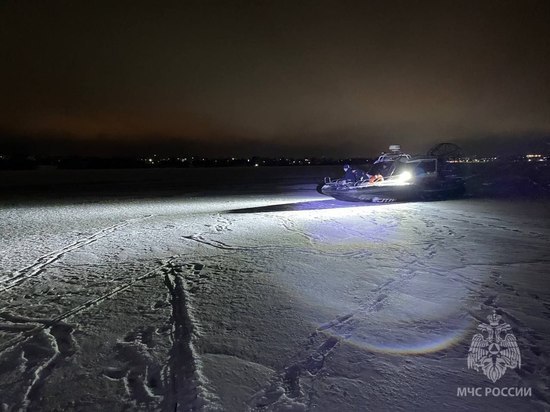 Пропавшая в Новгородской области женщина найдена мертвой