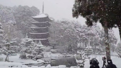 Сильный ветер и снегопады обрушились на Японию: видео