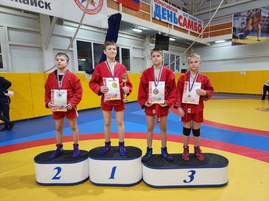 Самбисты из Брянска завоевали 4 медали в Можайске
