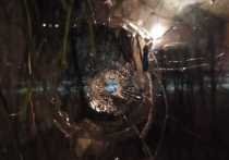 Неизвестные расстреляли окна квартиры на улице Спартака в подмосковном Воскресенске в ночь на 24 января