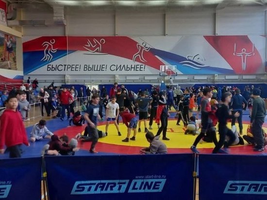 Турнир по вольной борьбе собрал сотни спортсменов в Кисловодске