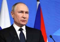Президент Путин заявил, что студенческие стройотряды могли бы помочь восстановить Донбасс, однако эту идею придется отложить, поскольку в регионе сейчас небезопасно