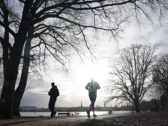 Норвежские ученые выявили вред чрезмерного занятия бегом для психики
