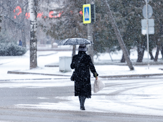 Мокрый снег и дождь прогнозируют псковские синоптики 26 января