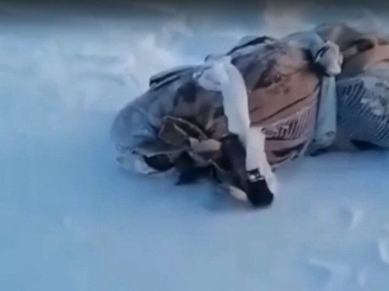 Мужчина из ЯНАО связал младшего брата и выбросил умирать на мороз