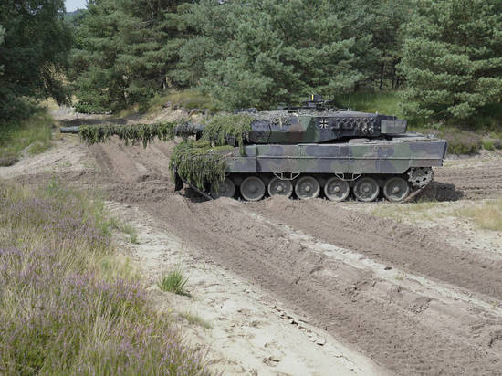 Депутат ГД Водолацкий назвал отправку танков Leopard Украине безумством