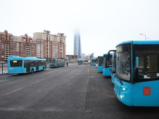 Новая автобусная площадка на Школьной разгрузит дороги Приморского района