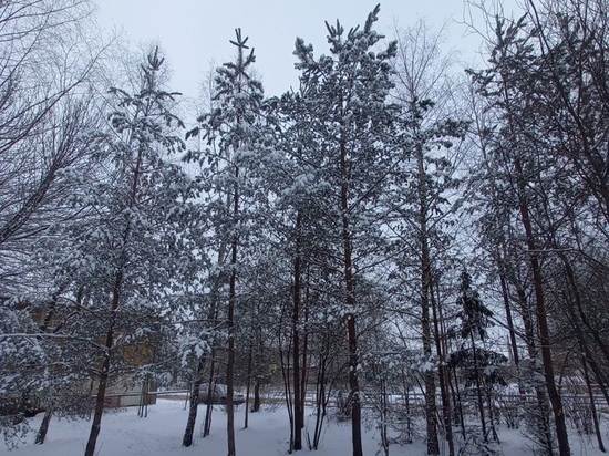 Погоду в Орловской области определяет антициклон с центром над Казахстаном