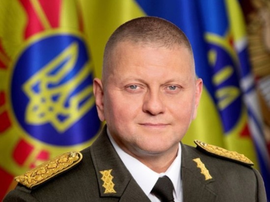 Залужный прокомментировал скандал в Минобороны Украины
