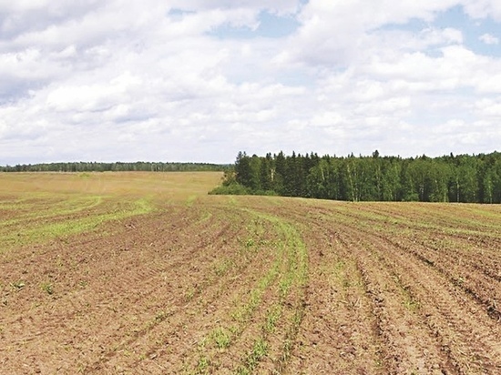 В 2022 году в Якутии воcстановили около 1000 гектаров пашен и сенокосных угодий