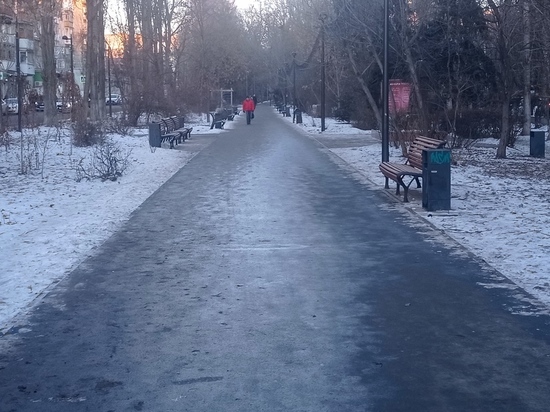 День случайный направлений, несочетаемых цветов в одежде, экологического образования: что жители Саратова могут отметить 26 января