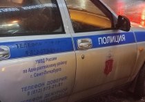 Сотрудники полиции в Петербурге спасли жизнь младенцу, оставленному на холоде горе-матерью. О происшествии рассказали в группе «Дорожный инспектор» в соцсети «ВКонтакте».