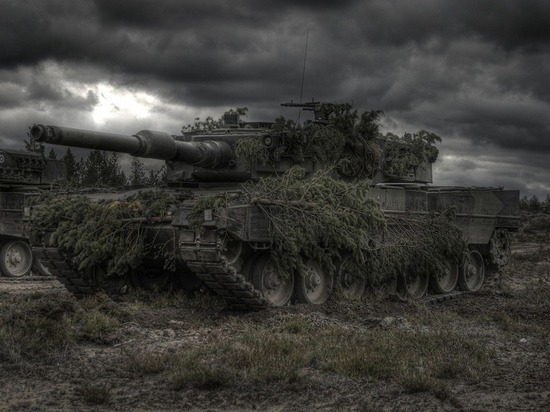 Немецкий экс-офицер Розе: танки не переломят ход конфликта на Украине