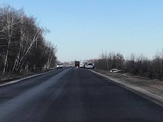 На трассе под Курском легковушка вылетела в кювет