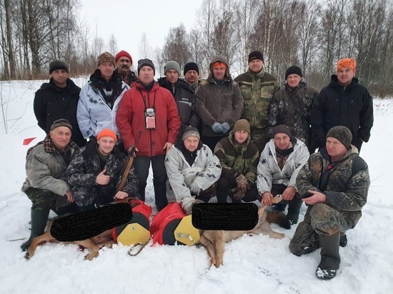 Волка и волчицу убили в Пушкиногорском районе
