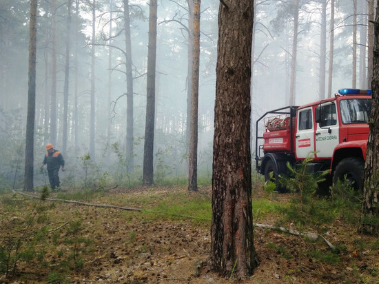 В Подмосковье подготовят более 140 специалистов для тушения лесных пожаров