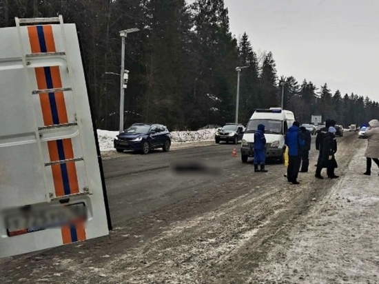 Водитель грузовика, сбивший пешехода у деревни Пугачево, скрылся с места аварии